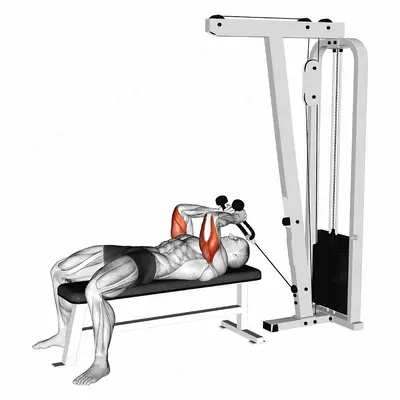 Cable Lying Triceps Extension (with Rope) exercise targeting Upper Arms and Triceps Brachii