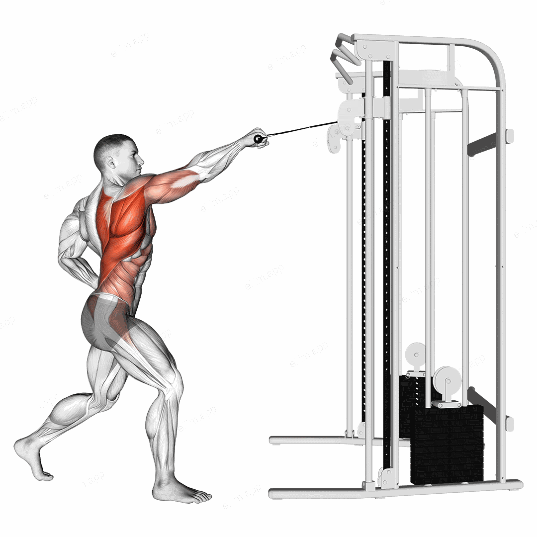 Cable Twisting Standing High Row exercise targeting Back and Infraspinatus