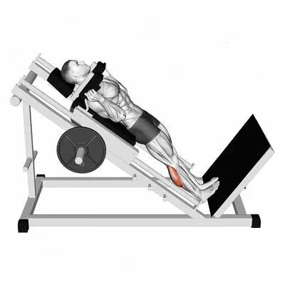 Hack Calf Raise exercise targeting Calves and Gastrocnemius