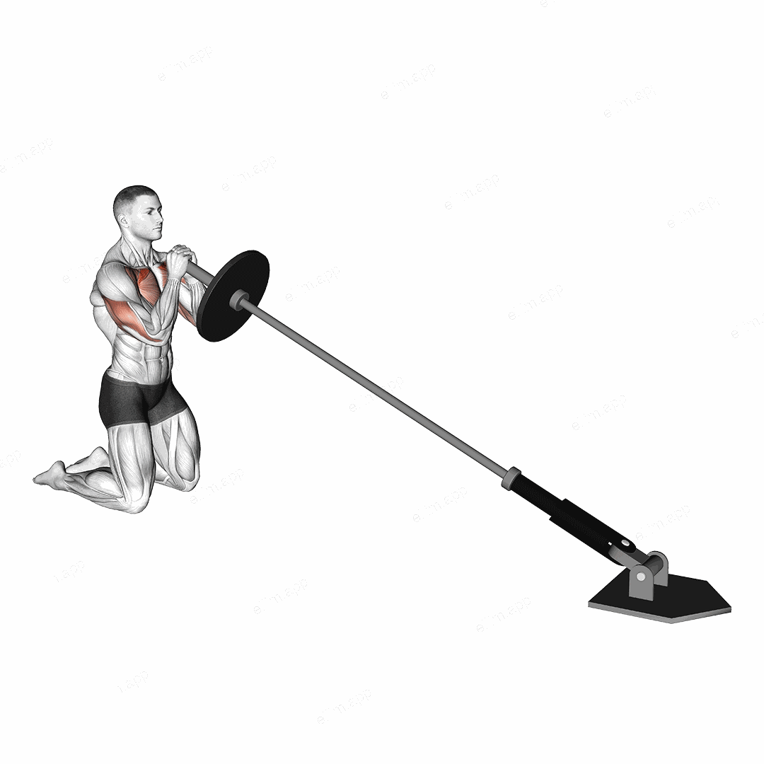 Landmine Kneeling Squeeze Press exercise targeting Chest and Pectoralis Major Clavicular Head