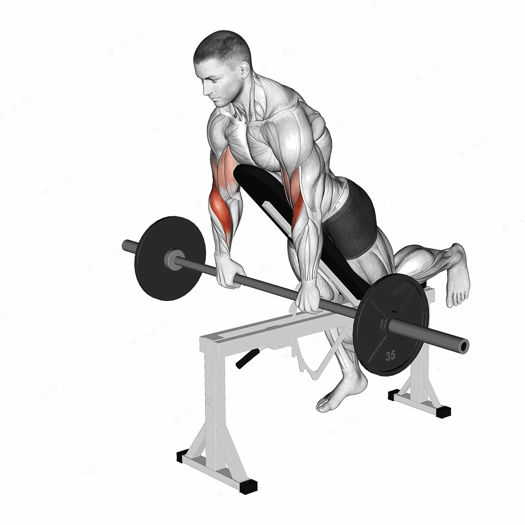 Barbell Incline Reverse grip Spider Curl with Chest Support exercise targeting Forearms and Brachioradialis