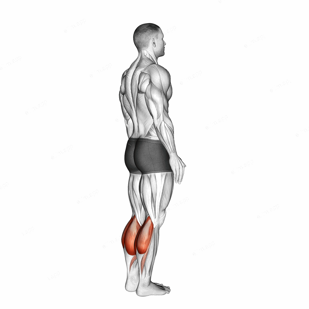 Bodyweight Standing Calf Raise exercise targeting Calves and Gastrocnemius