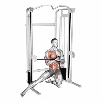 Cable Half Kneeling Adductor Pallof Press exercise targeting Waist