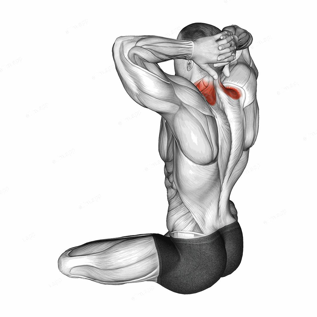 Seated Neck Stretch exercise targeting Neck and Splenius