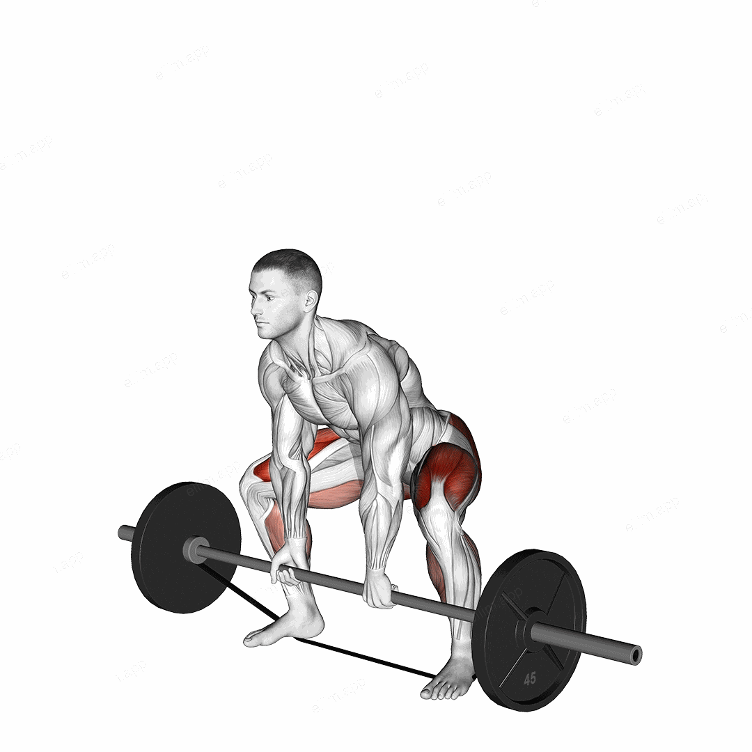 Barbell Banded Sumo Deadlift exercise targeting Hips