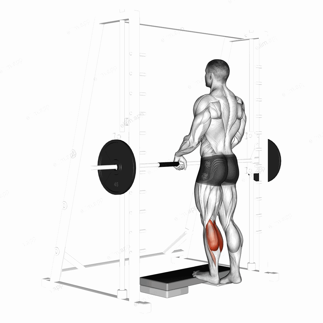 Smith Calf Raise (with block) exercise targeting Calves and Gastrocnemius