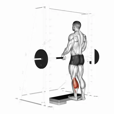 Smith Calf Raise (with block) exercise targeting Calves and Gastrocnemius