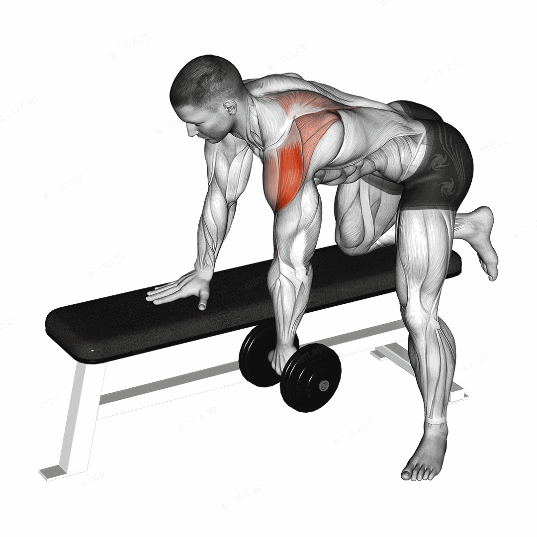 Dumbbell Rear Delt Row exercise targeting Shoulders