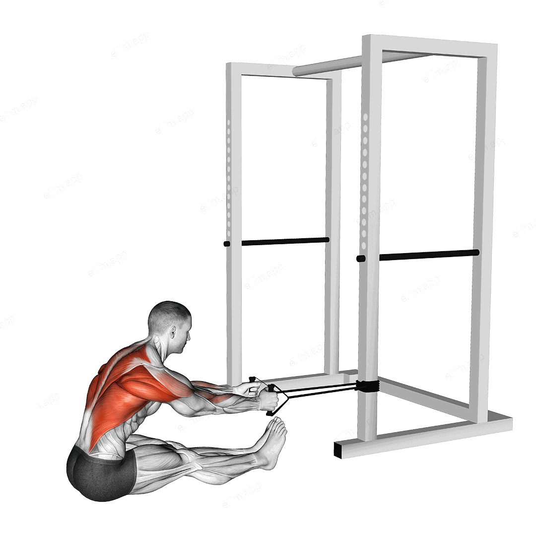 Band seated row exercise targeting Back and Infraspinatus