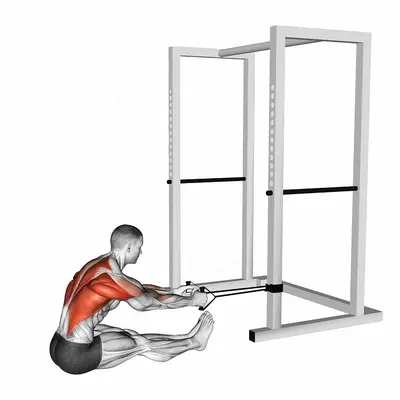 Band seated row exercise targeting Back and Infraspinatus