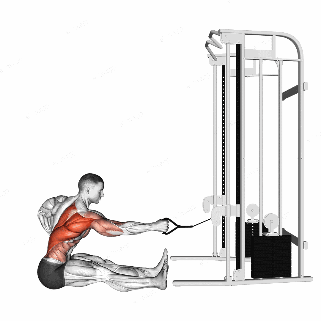 Cable one arm twisting seated row exercise targeting Back and Infraspinatus
