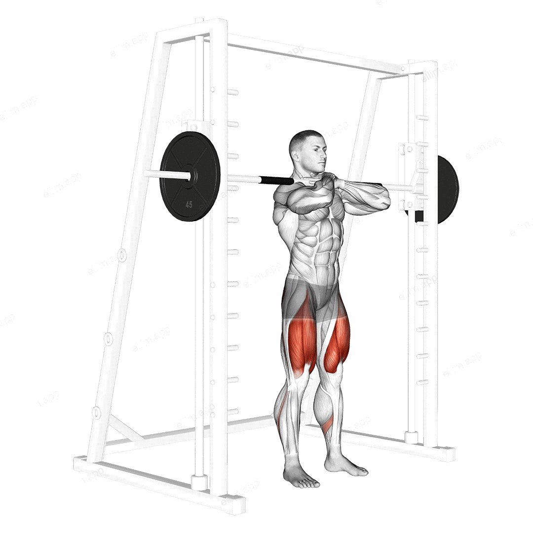 Smith Front Squat exercise targeting Thighs