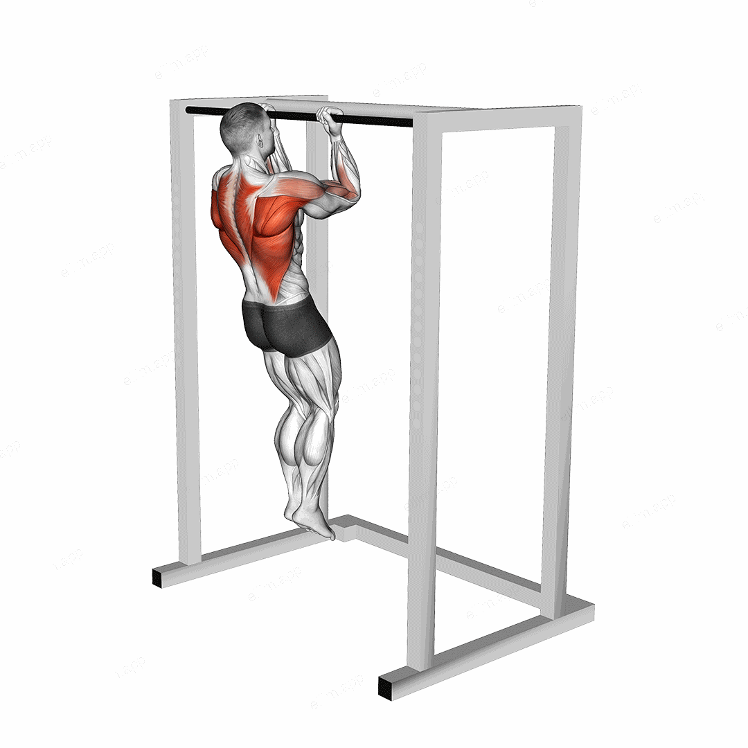 Bent Arms Chin-up exercise targeting Back
