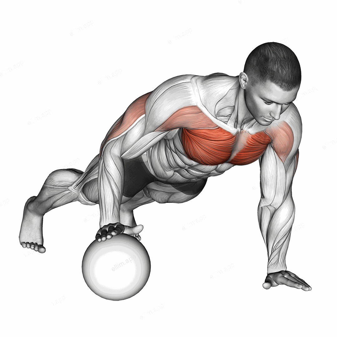 Push Up Medicine Ball exercise targeting Chest