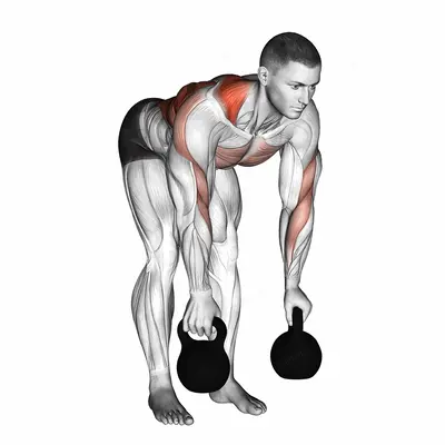 Kettlebell Alternating Row exercise targeting Back and Infraspinatus