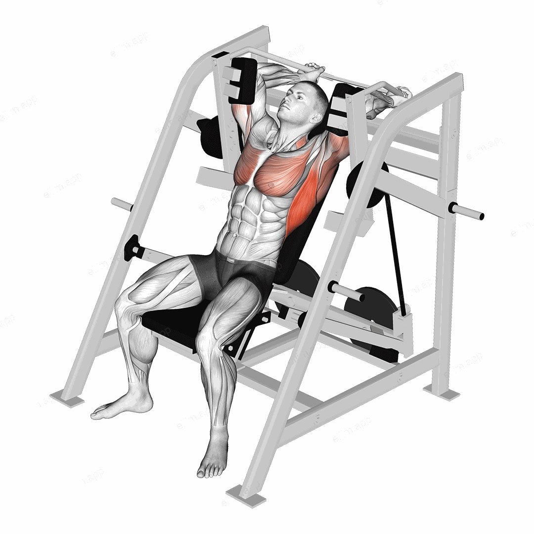 Lever Pullover (plate loaded) exercise targeting Back and Pectoralis Major Sternal Head