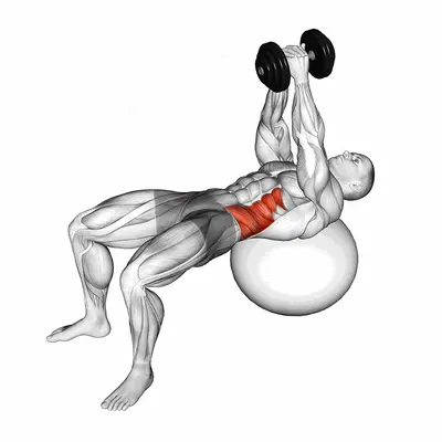 Dumbbell Russian Twist (on stability ball) exercise targeting Waist
