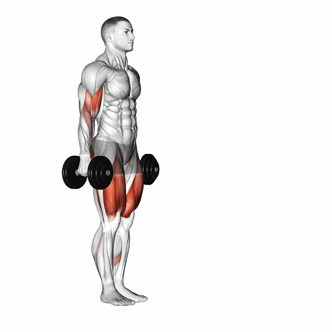 Dumbbell Lunge with Bicep Curl exercise targeting Upper Arms