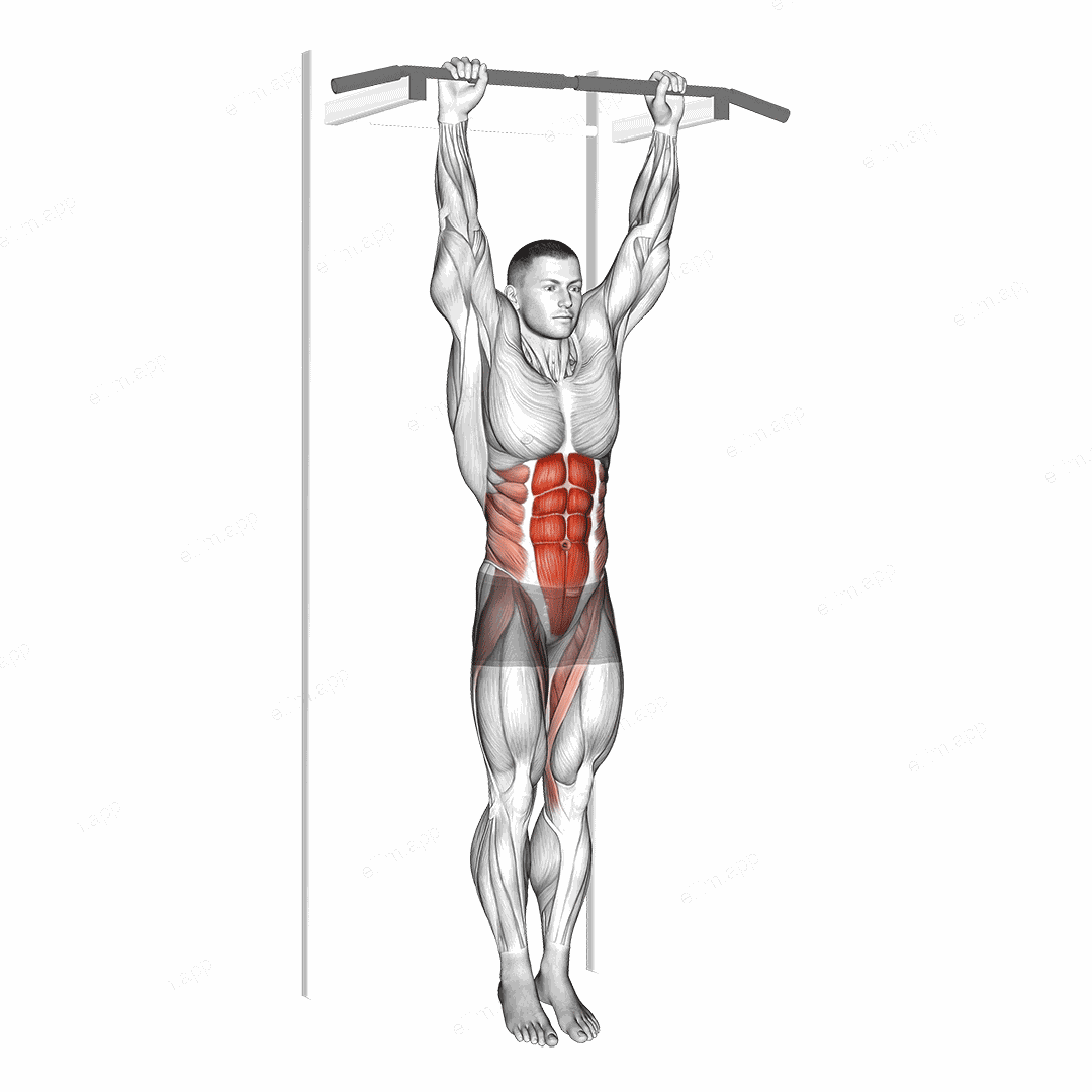 Hanging Leg Hip Raise exercise targeting Waist and Iliopsoas