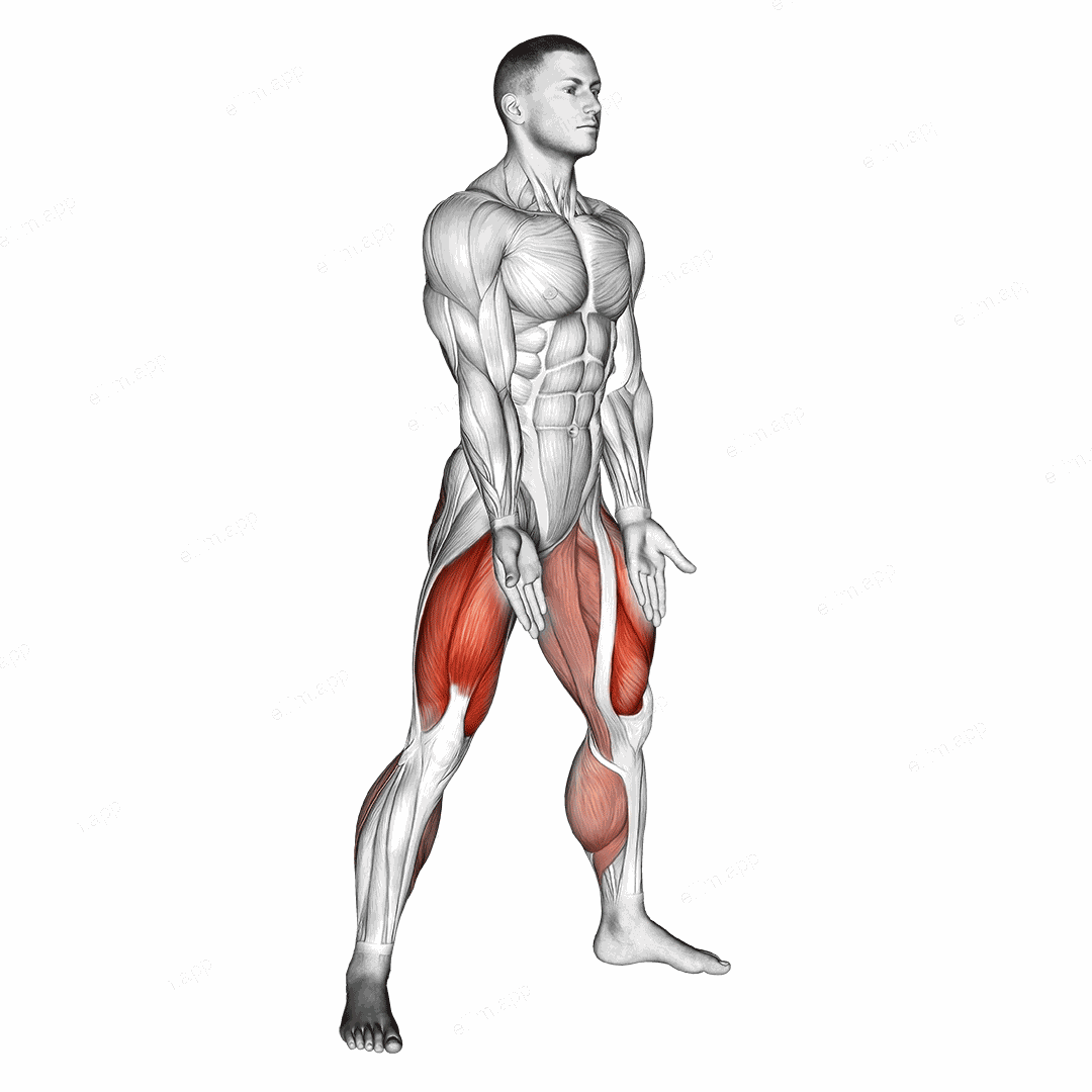 Sumo Squat exercise targeting Thighs and Gluteus Maximus