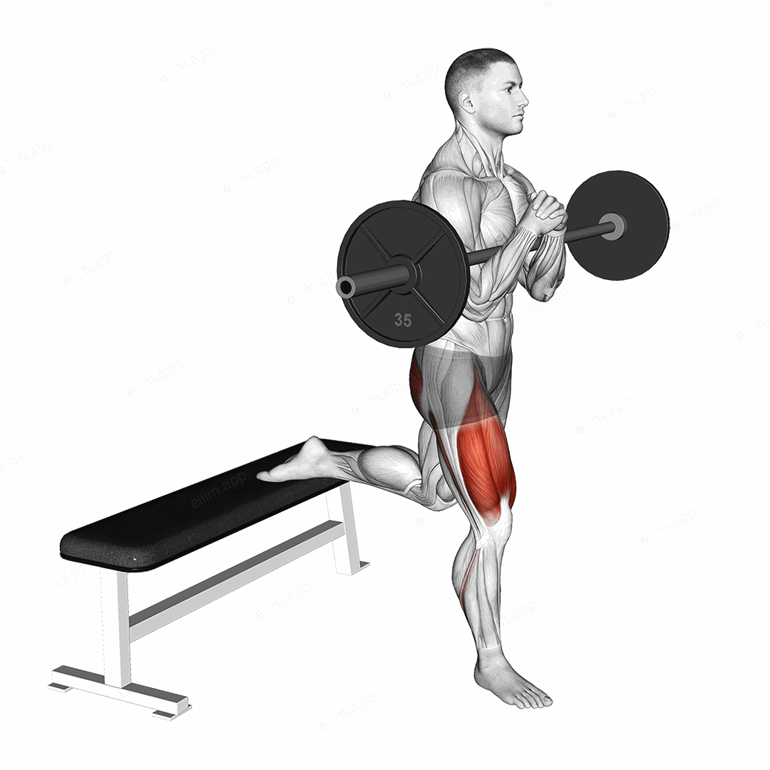 Barbell Zercher Bulgarian Split Squat exercise targeting Thighs