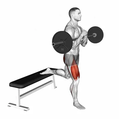 Barbell Zercher Bulgarian Split Squat exercise targeting Thighs