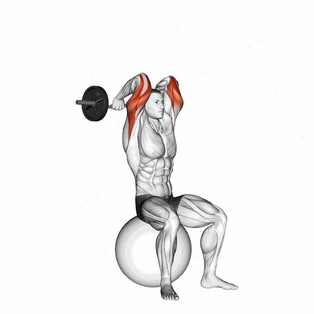 EZ Bar French Press on Exercise Ball exercise targeting Upper Arms