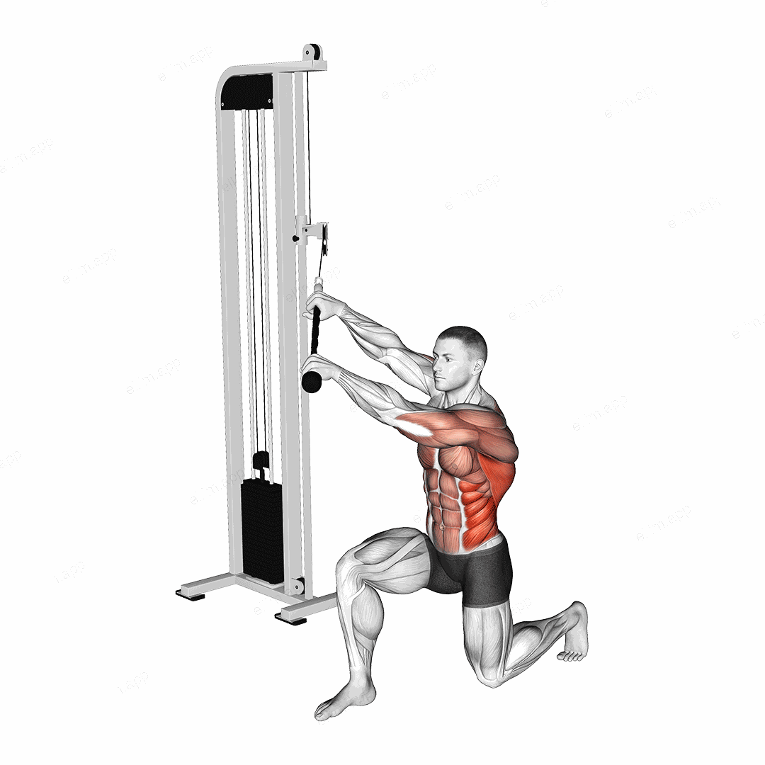 Cable Kneeling High Low Anti Rotation Chop exercise targeting Back