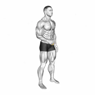 Resistance Band Fingers Extension exercise targeting Hands