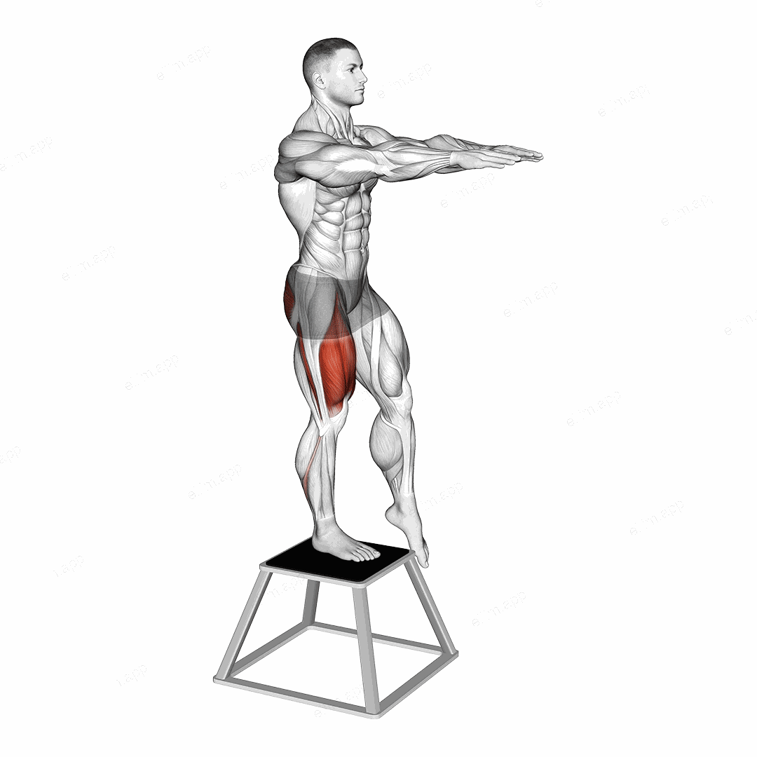 Elevated Single Leg Squat exercise targeting Thighs