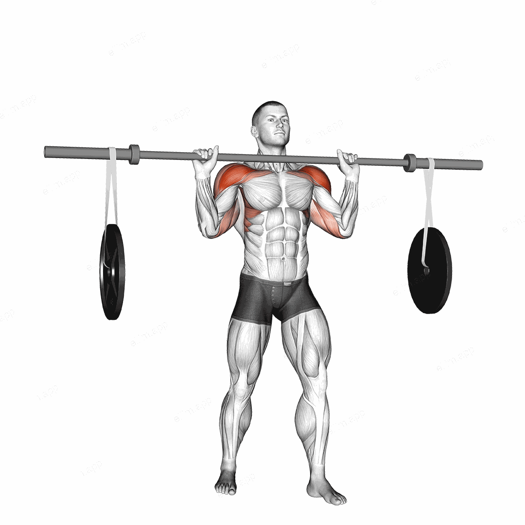 Barbell Military Press (with hanging band technique) exercise targeting Shoulders and Deltoid Anterior