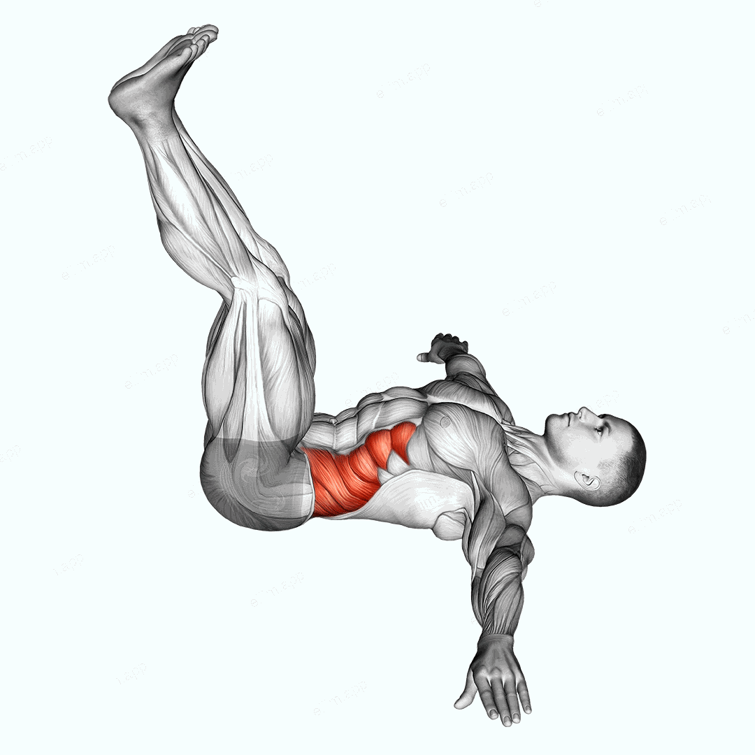 Wipers (straight leg) exercise targeting Waist and Obliques