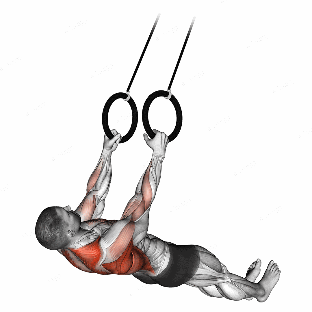 Suspended Row exercise targeting Back and Infraspinatus