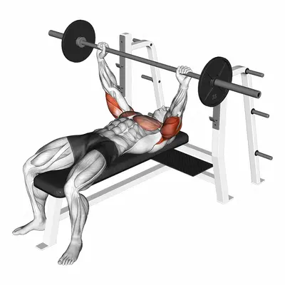 Barbell Pin Presses exercise targeting Upper Arms