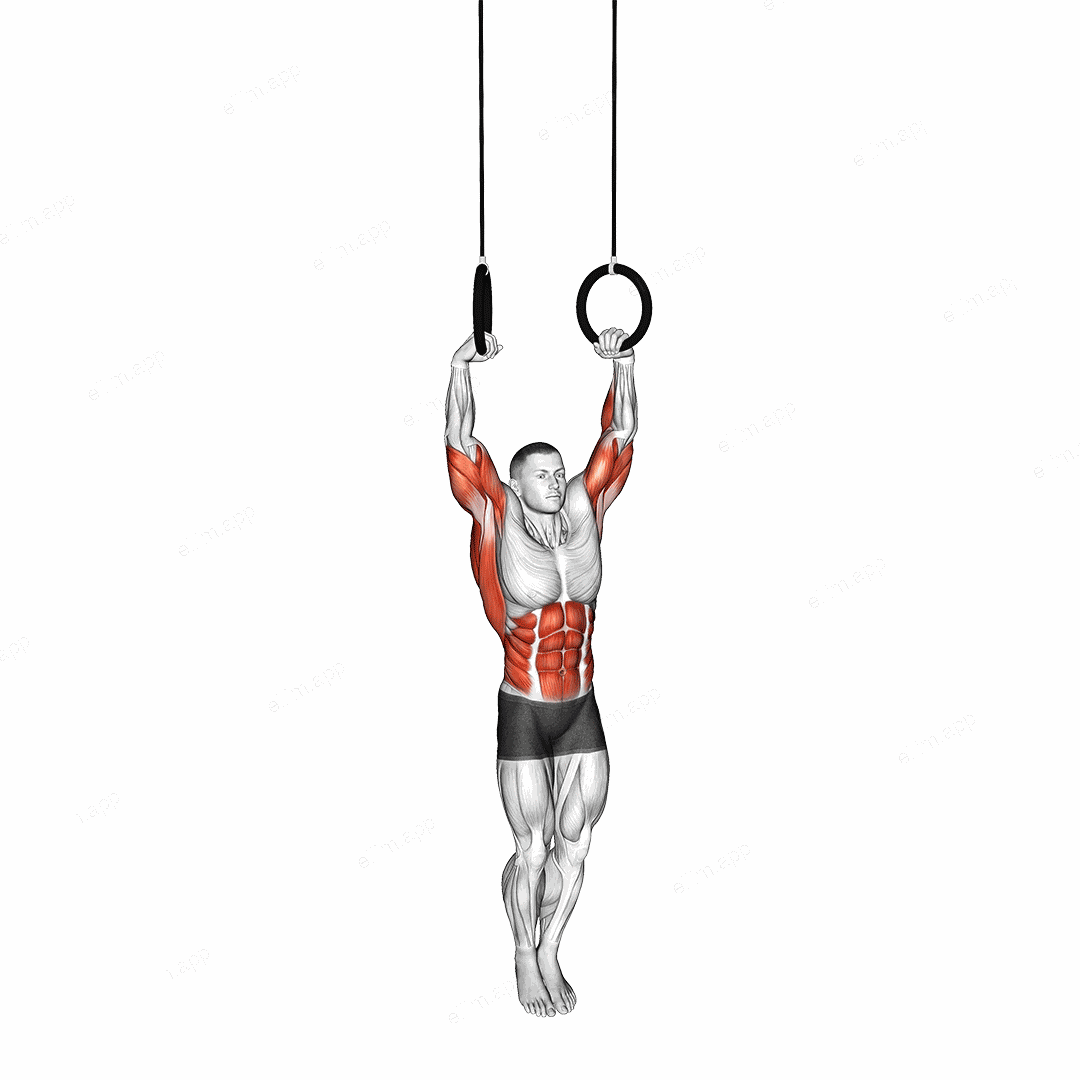 Muscle Up exercise targeting Back and Latissimus Dorsi