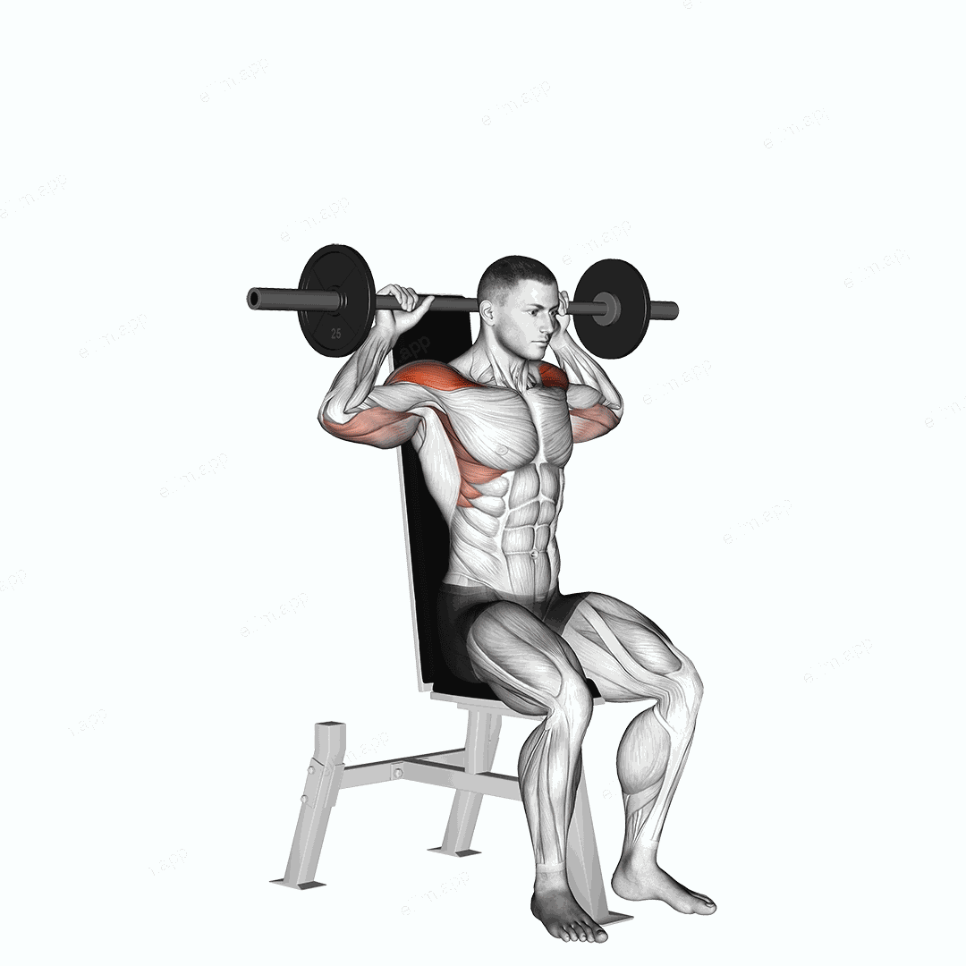 Barbell Seated Bradford Rocky Press exercise targeting Shoulders and Deltoid Anterior