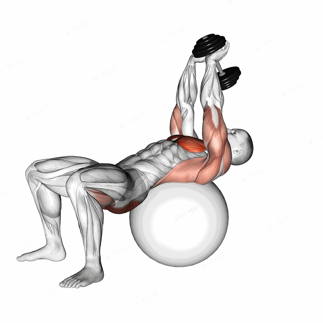 Dumbbell Pullover Hip Extension on Exercise Ball exercise targeting Chest and Gluteus Maximus