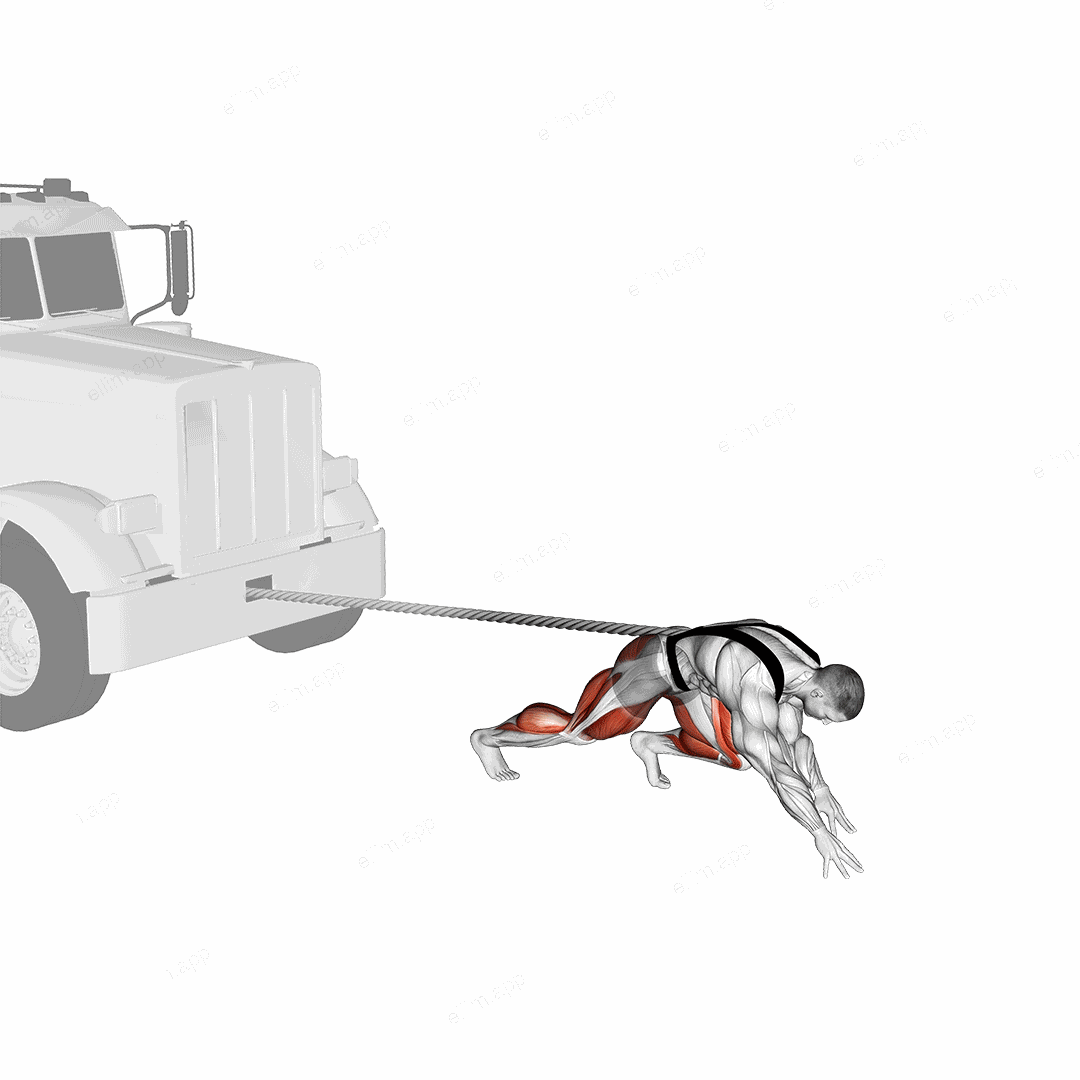 StrongMan Truck Pull exercise targeting Weightlifting