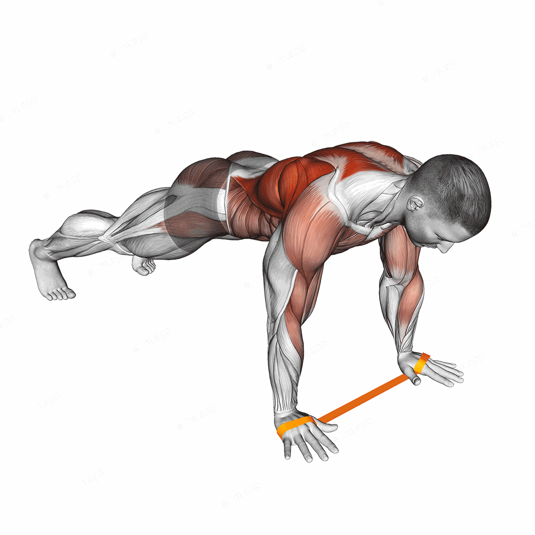 Resistance Band Renegade Row exercise targeting Waist