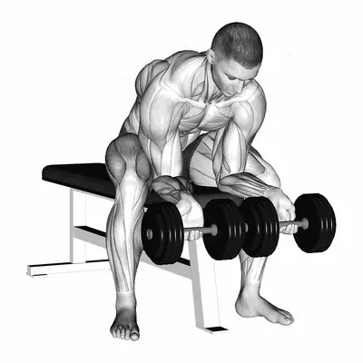 Dumbbell finger curls exercise targeting Forearms