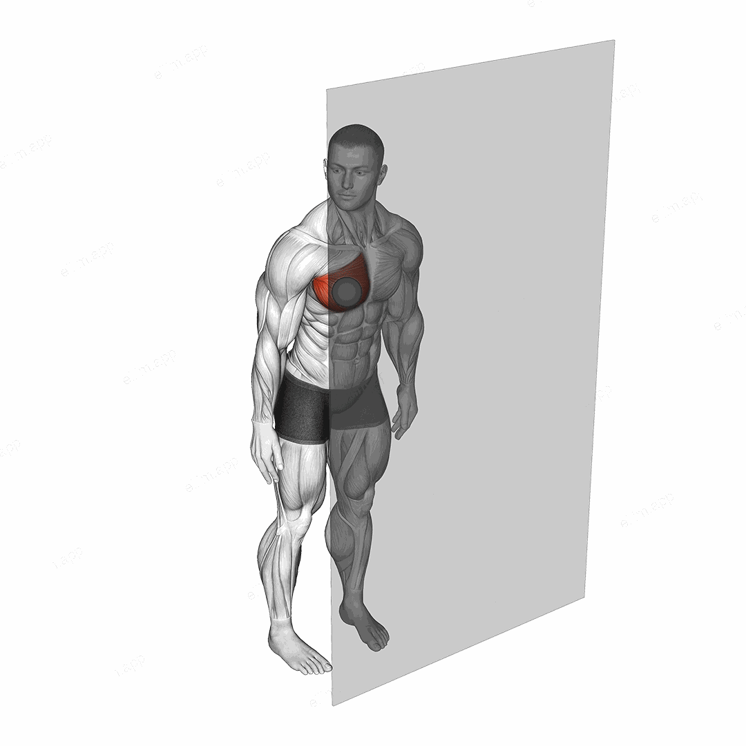 Roll Ball Pectoralis Major - Sternal exercise targeting Chest