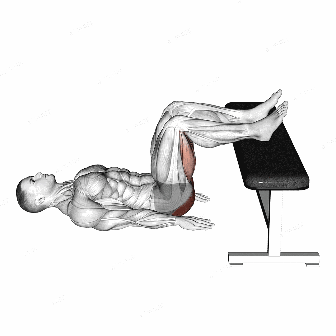 Glute Bridge Two Legs on Bench exercise targeting Hips and Gluteus Maximus