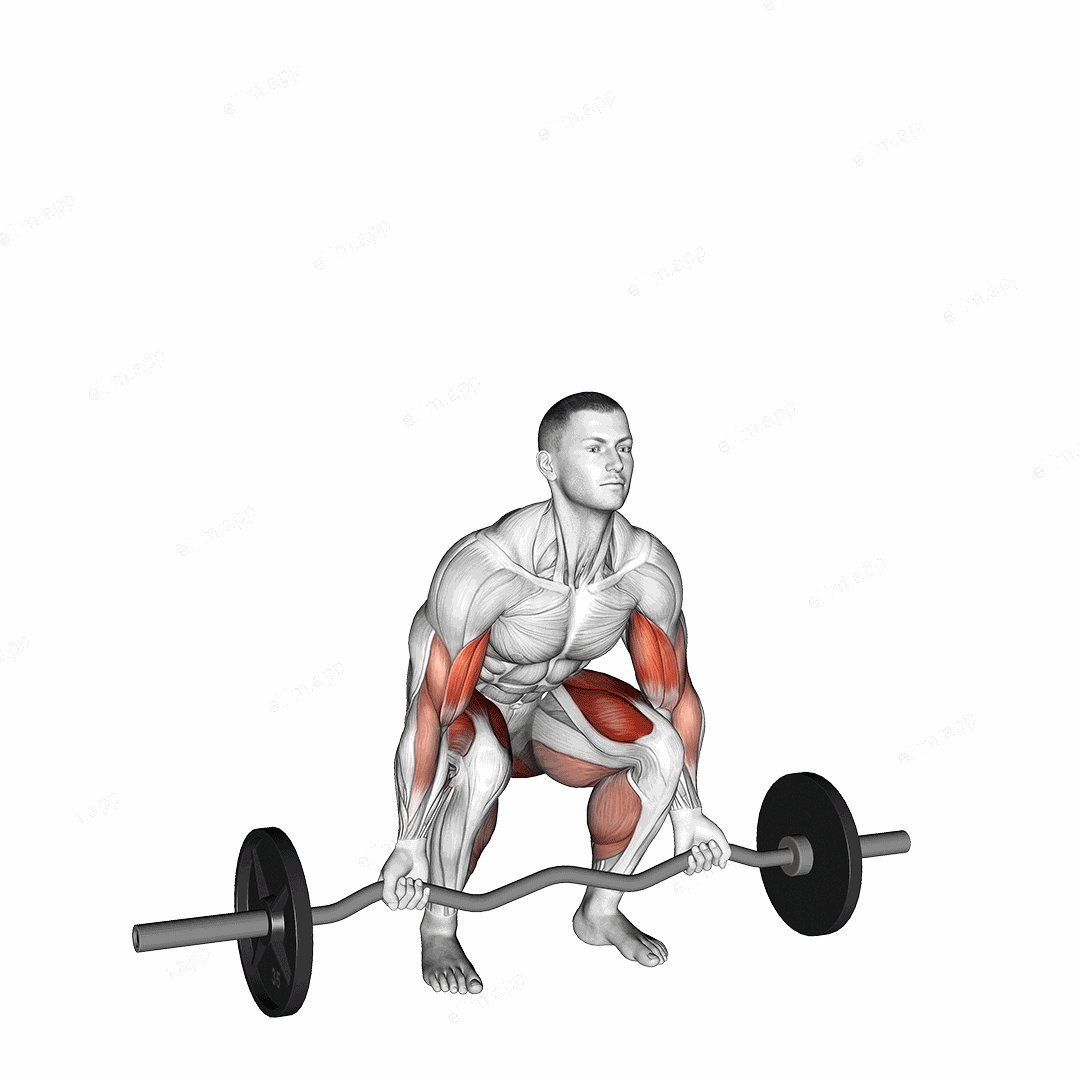 EZ-bar Deadlift with Biceps Curl exercise targeting Biceps Brachii and Gluteus Maximus