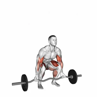 EZ-bar Deadlift with Biceps Curl exercise targeting Biceps Brachii and Gluteus Maximus