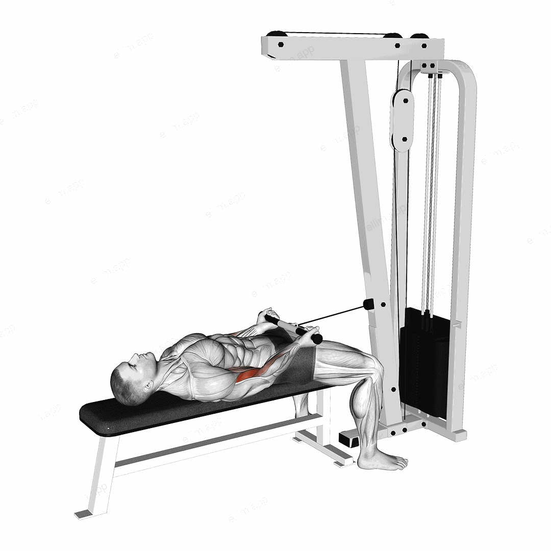 Cable Lying Bicep Curl exercise targeting Upper Arms and Biceps Brachii