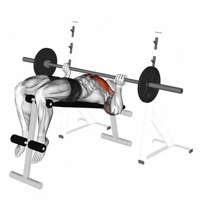 Barbell Reverse Grip Decline Bench Press exercise targeting Chest and Pectoralis Major Sternal Head