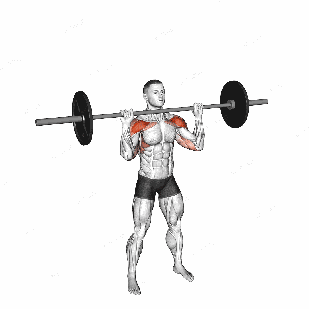 Barbell Standing Shoulders Press exercise targeting Shoulders and Deltoid Anterior