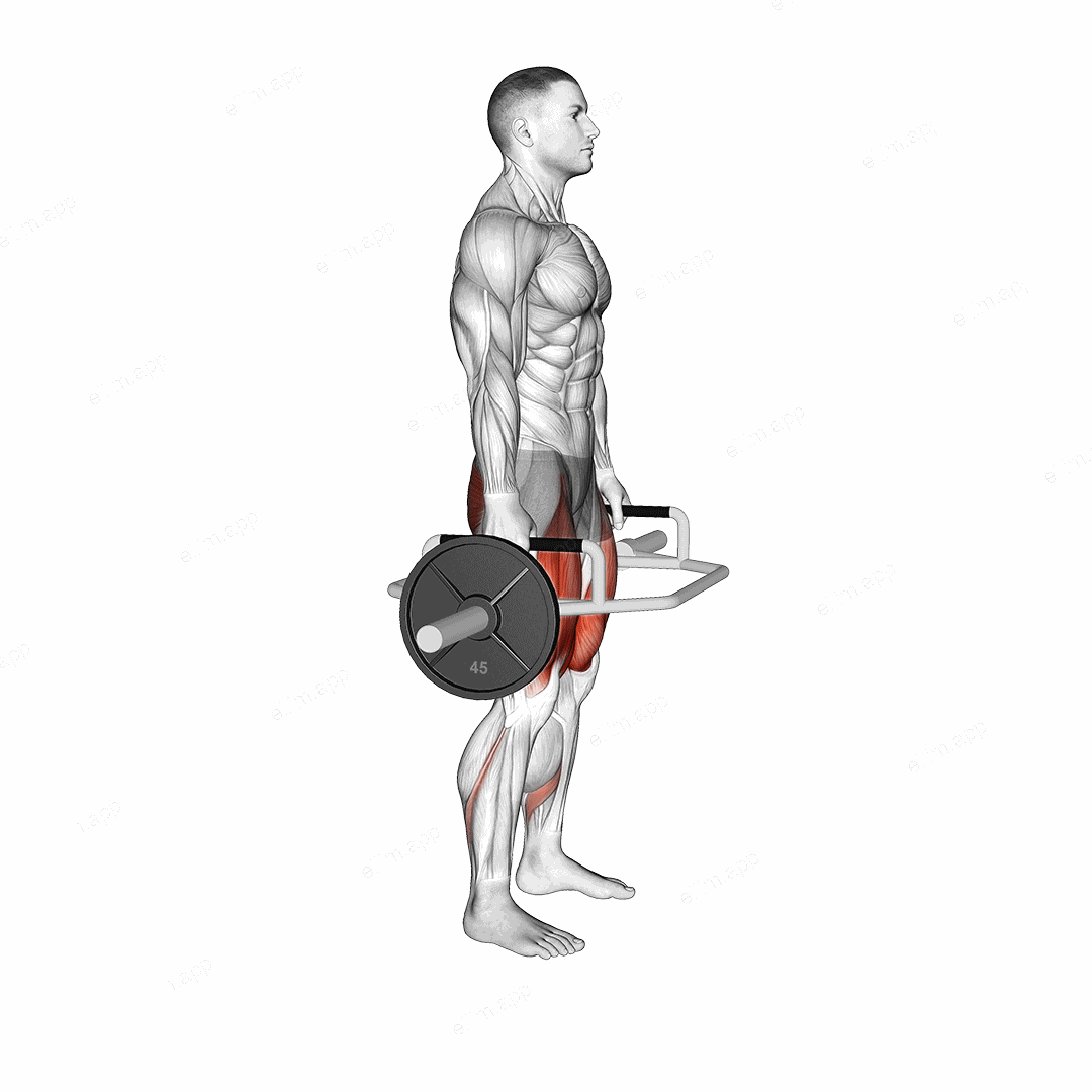 Trap Bar Squat exercise targeting Thighs