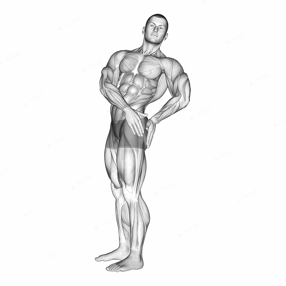 Standing Abs Rotation Stretch exercise targeting Waist and Obliques