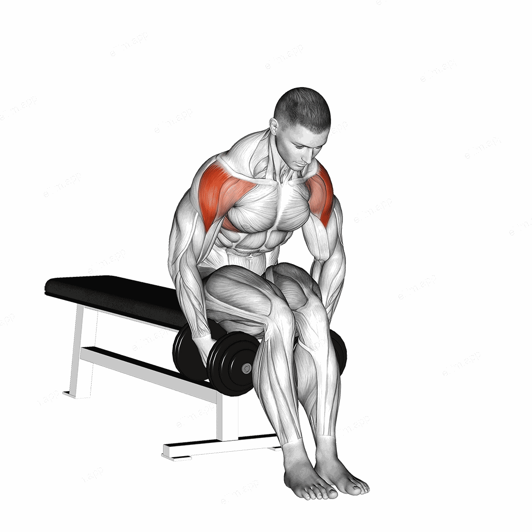 Dumbbell Seated Bent Arm Lateral raise exercise targeting Shoulders and Deltoid Lateral
